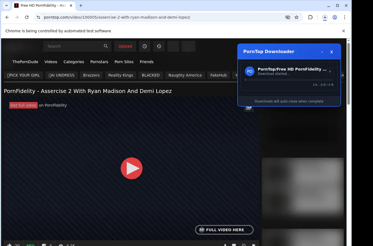 Porntop Video Downloader browser extension screenshot 2