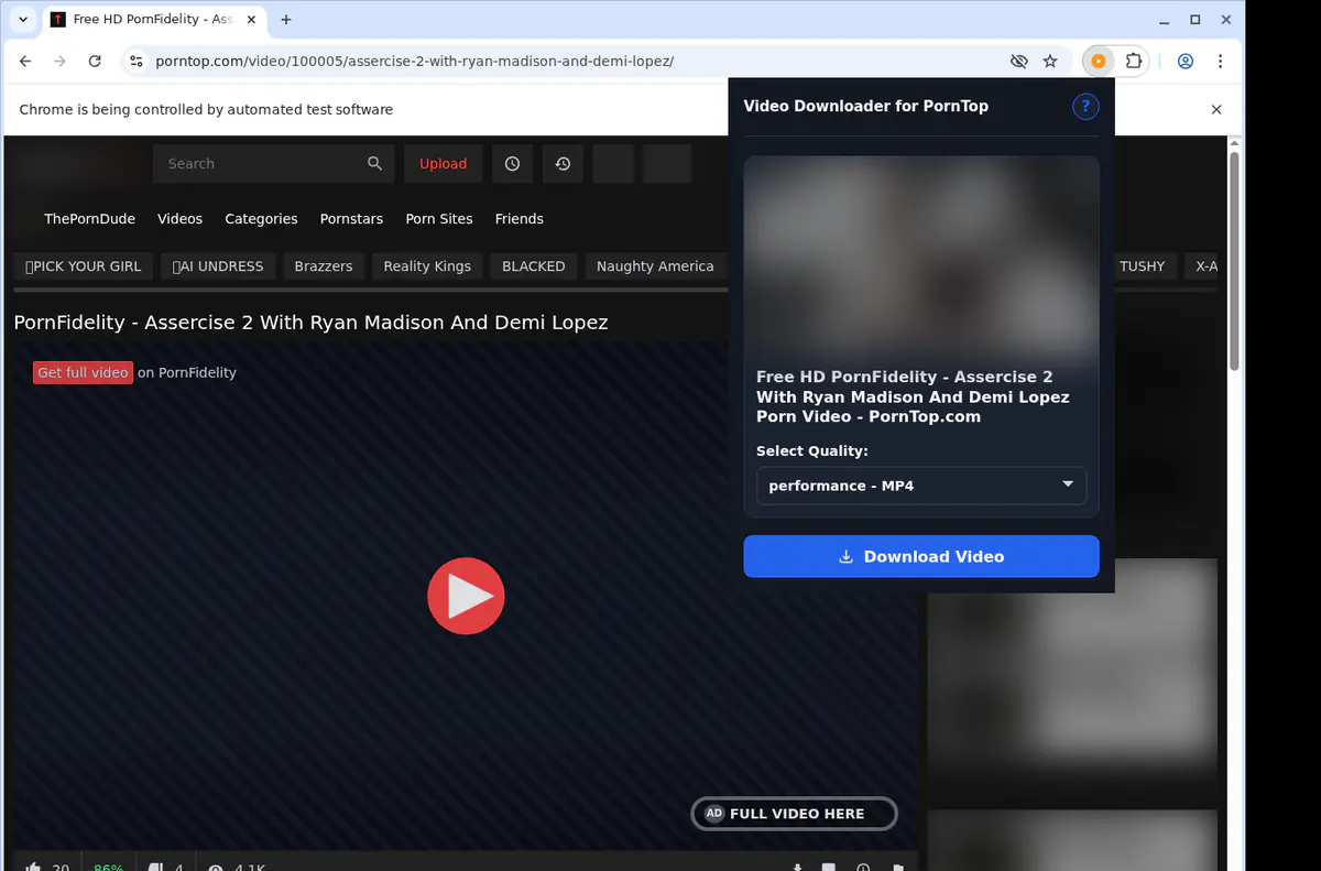 Porntop Video Downloader browser extension screenshot 3